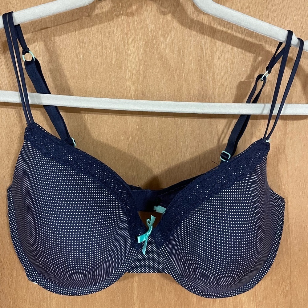 2 warners blue bras